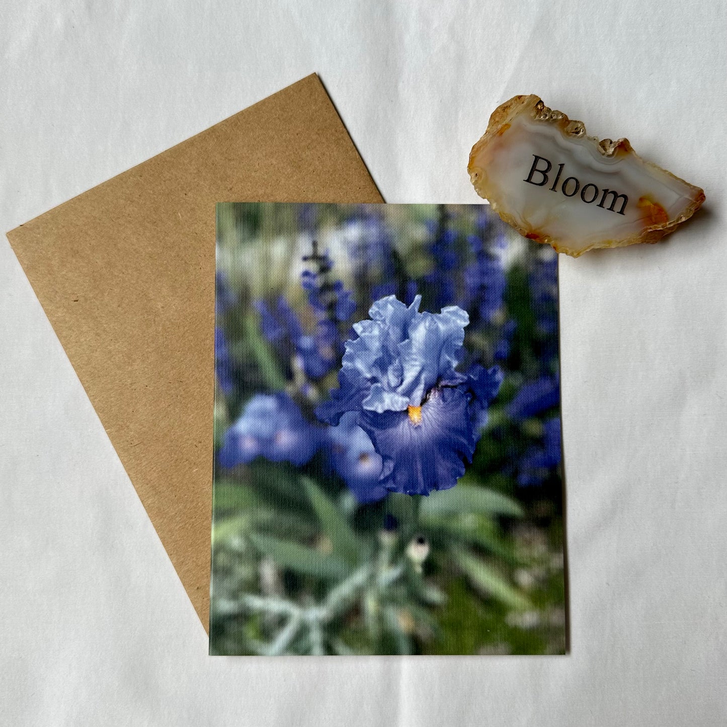 Irises Original Nature Photography Greeting Card Set of 3 with Kraft Envelopes