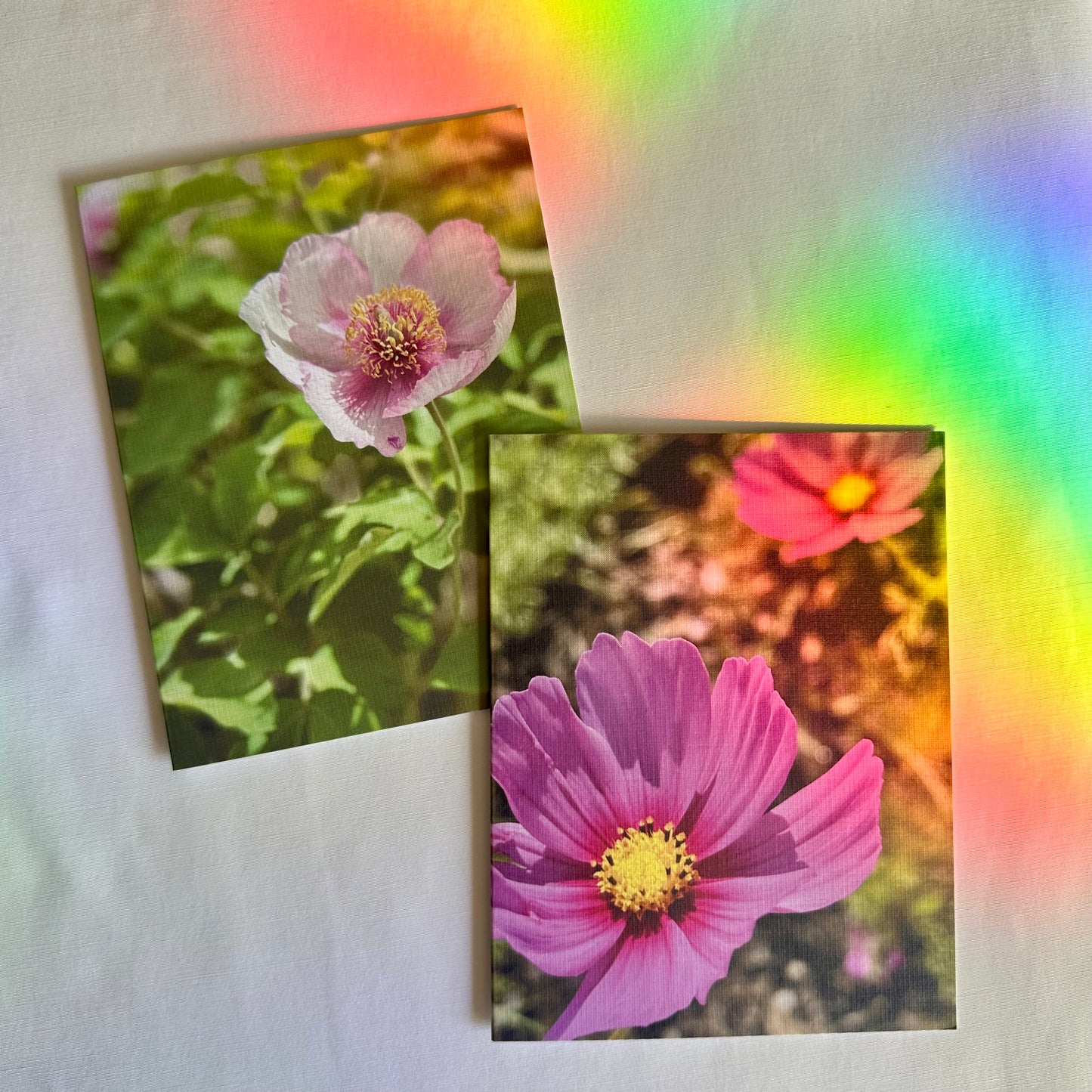 Gentle Wishes Original Nature Photography Set of Two Greeting Cards with White Envelopes
