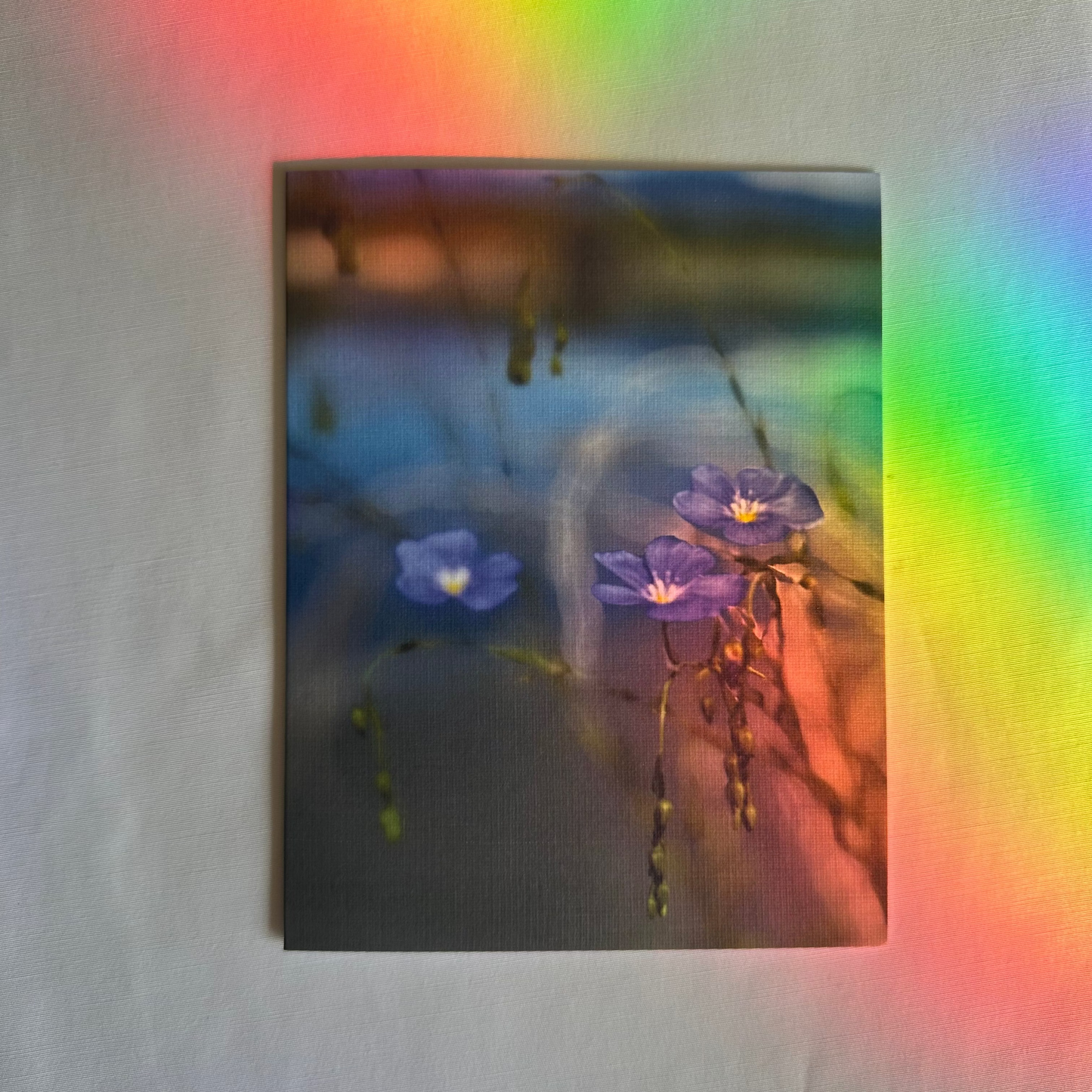 Love Is Everywhere Collection -Original Nature Photography Greeting Cards Set of Three with White Envelopes