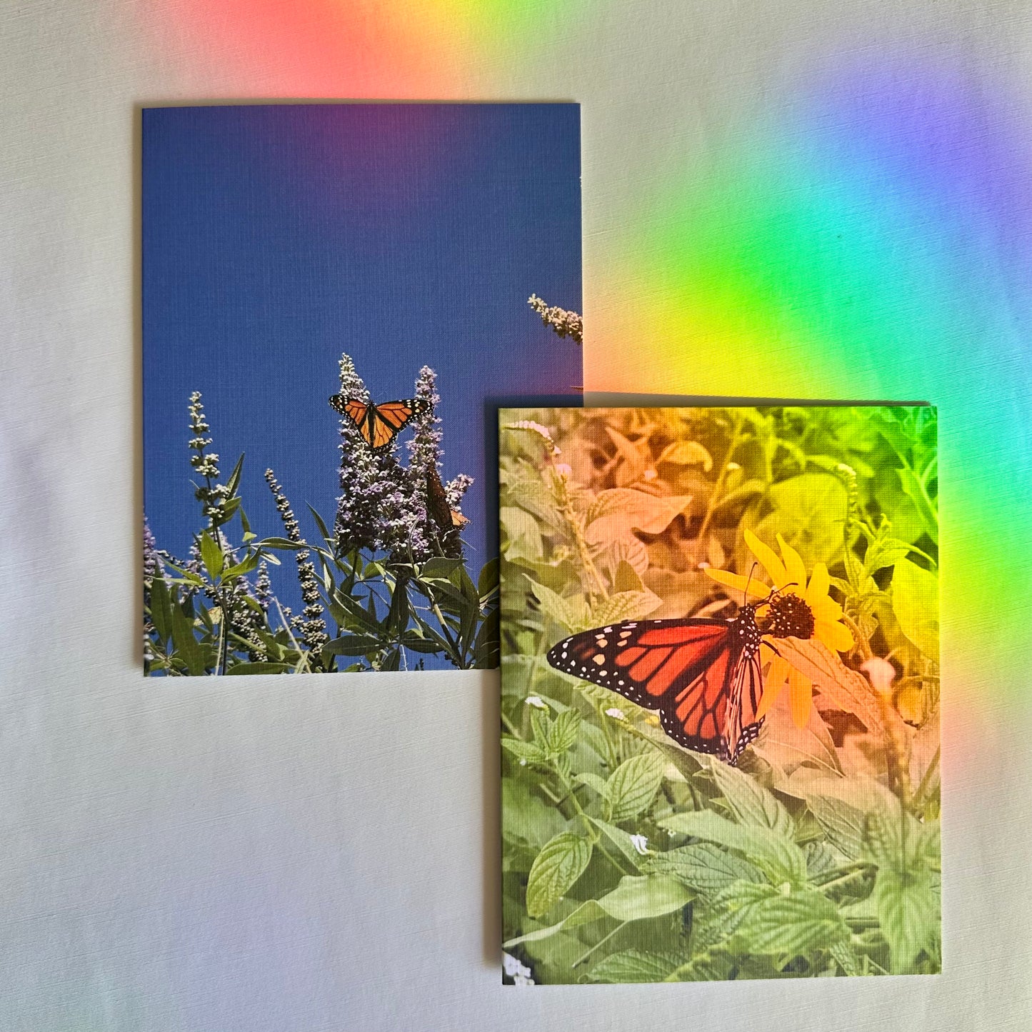 Butterfly Delight Set of Two Original Photography Greeting Cards with White Envelopes