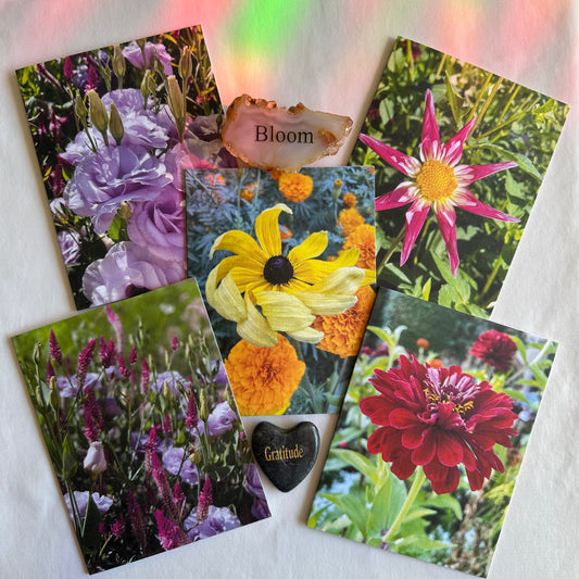 Fall Delights Original Nature Photography Greeting Card Boxed Set of 5 with White Envelopes