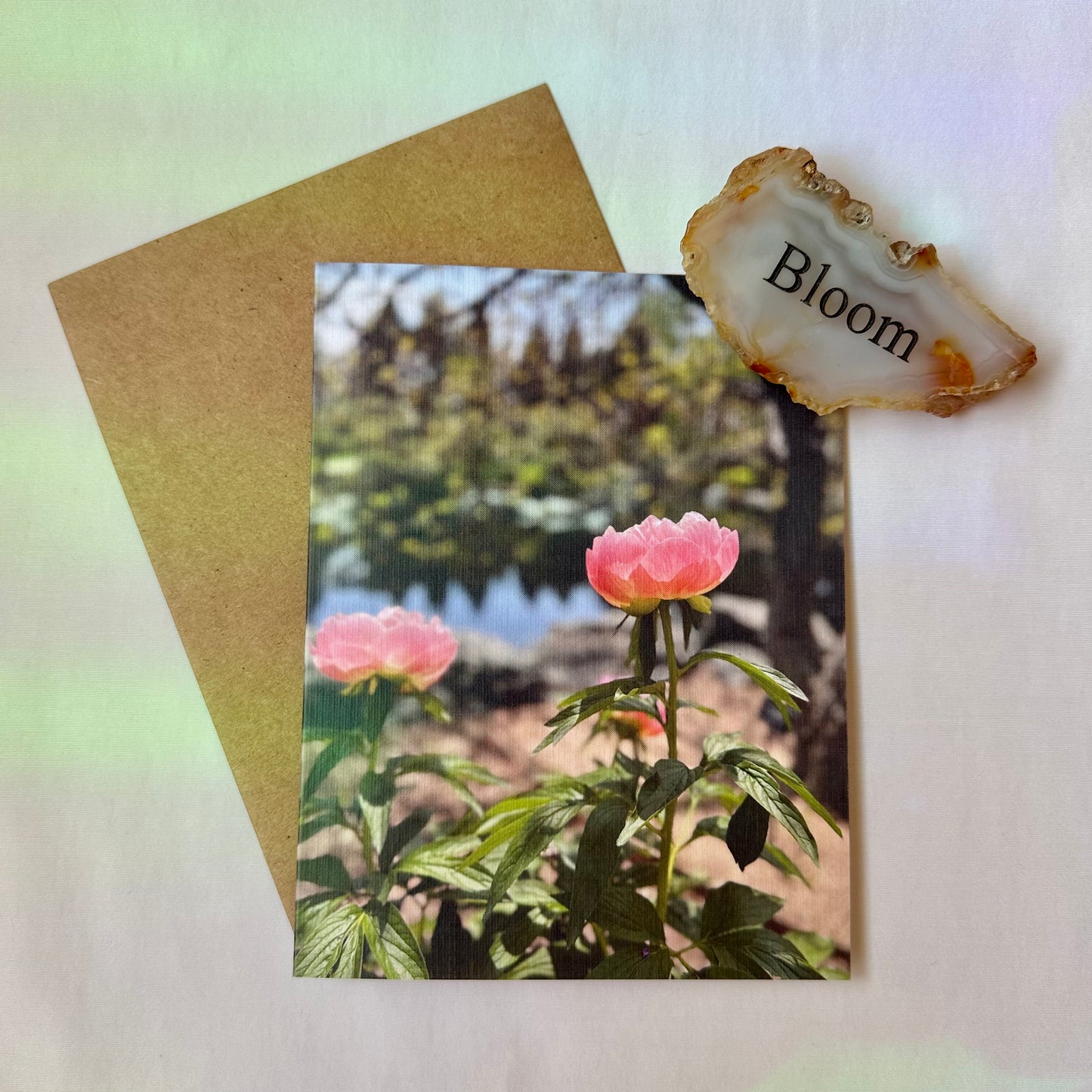Fall Treasures Original Nature Photography Greeting Cards W/Kraft Envelopes