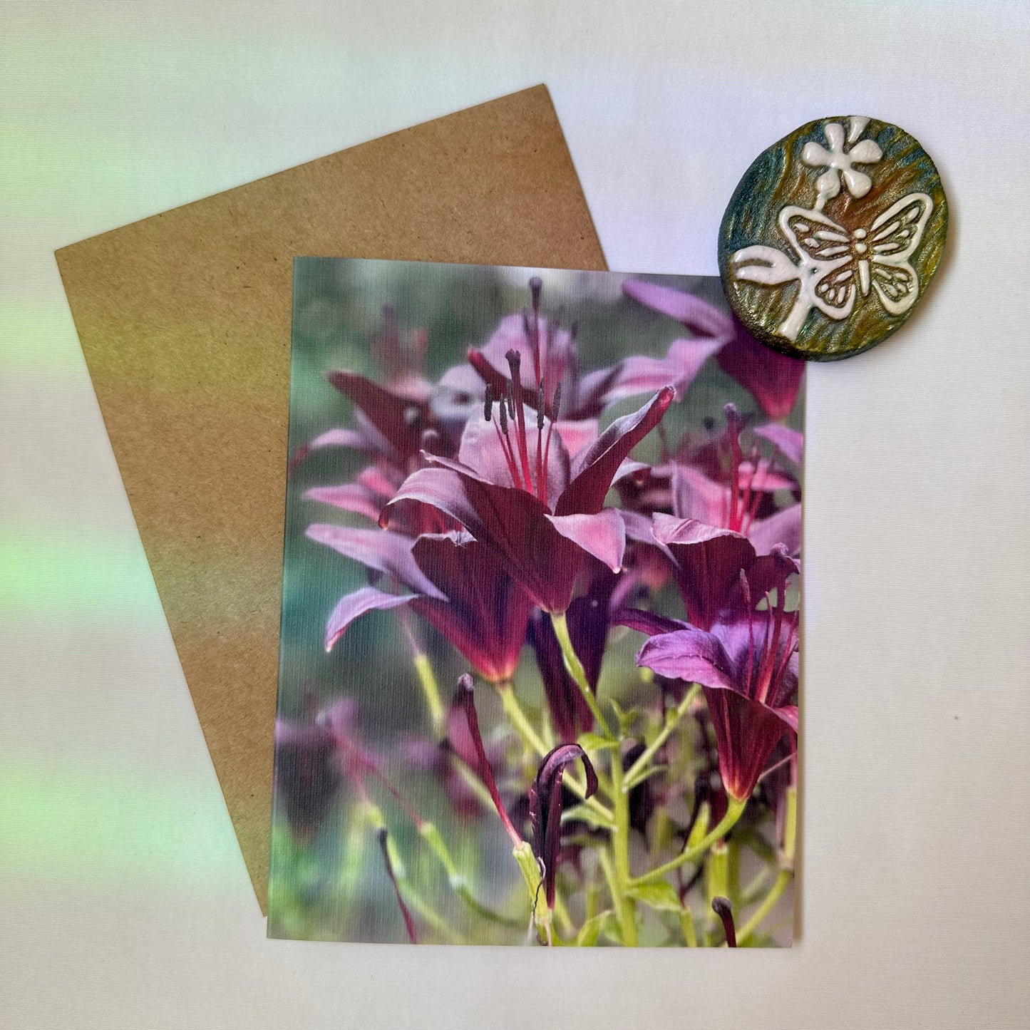 Fall Treasures Original Nature Photography Greeting Cards W/Kraft Envelopes