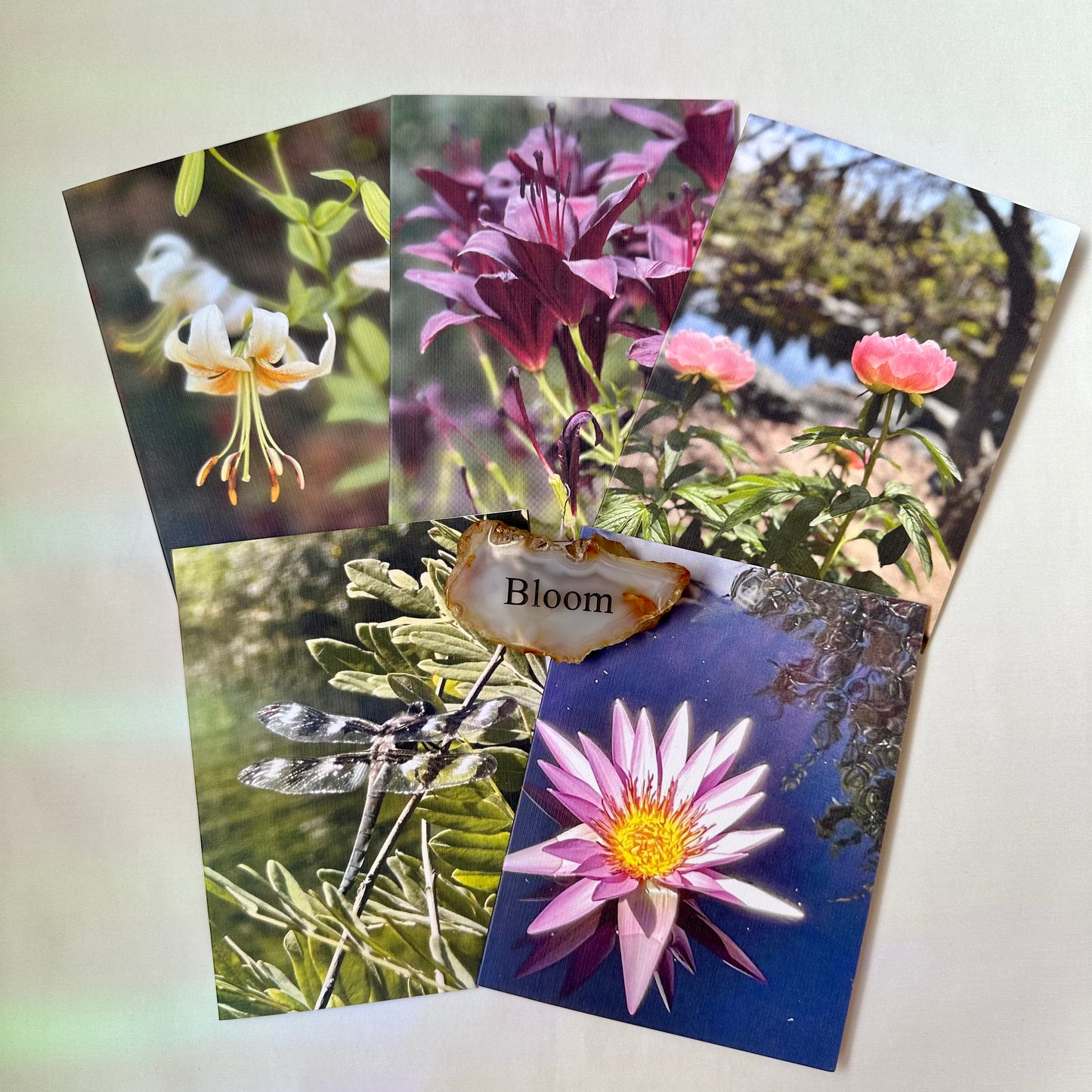Nature Treasures Original Nature Photography Greeting Cards W/Kraft Envelopes