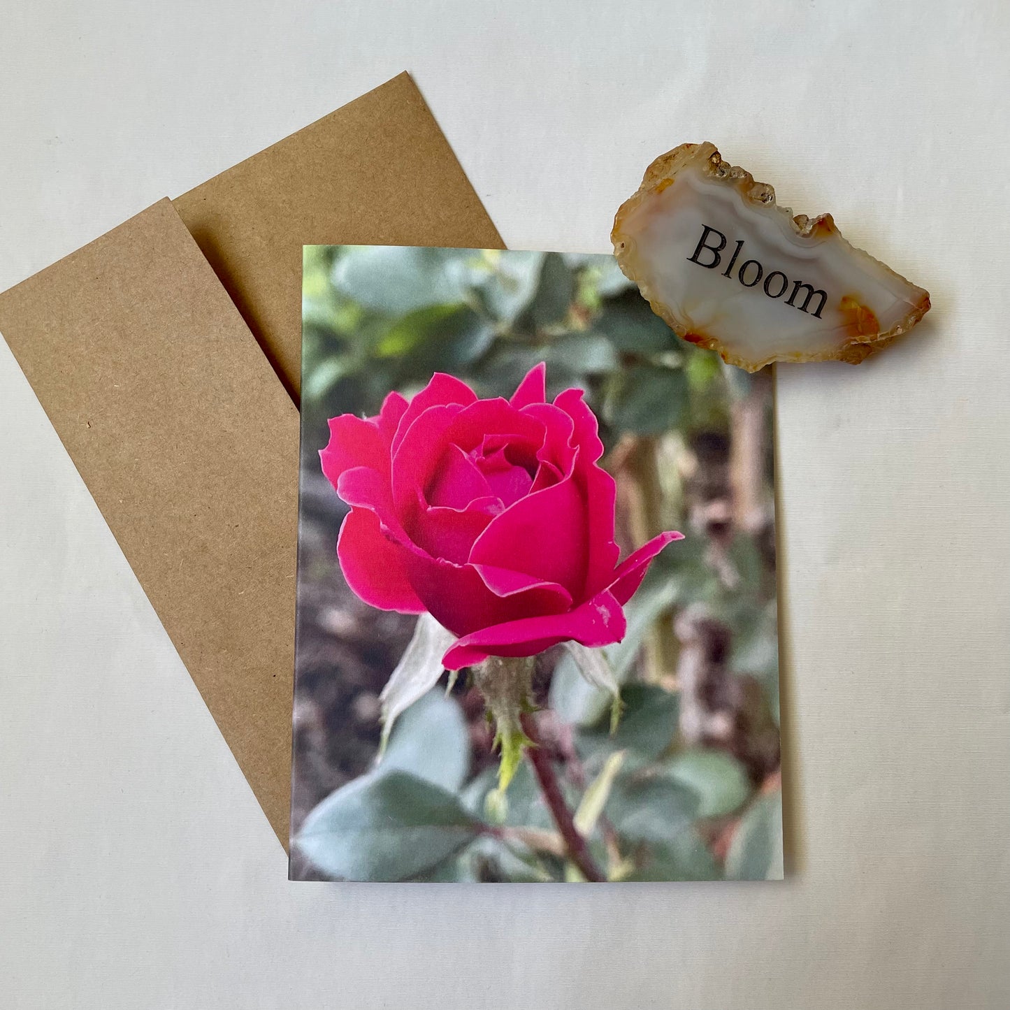 Mini Roses - Original Photography Greeting Card (s) with Kraft Envelope(s)