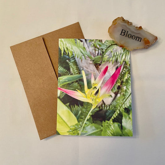 Bird of Paradise Original Photography Greeting Card with Kraft Envelope