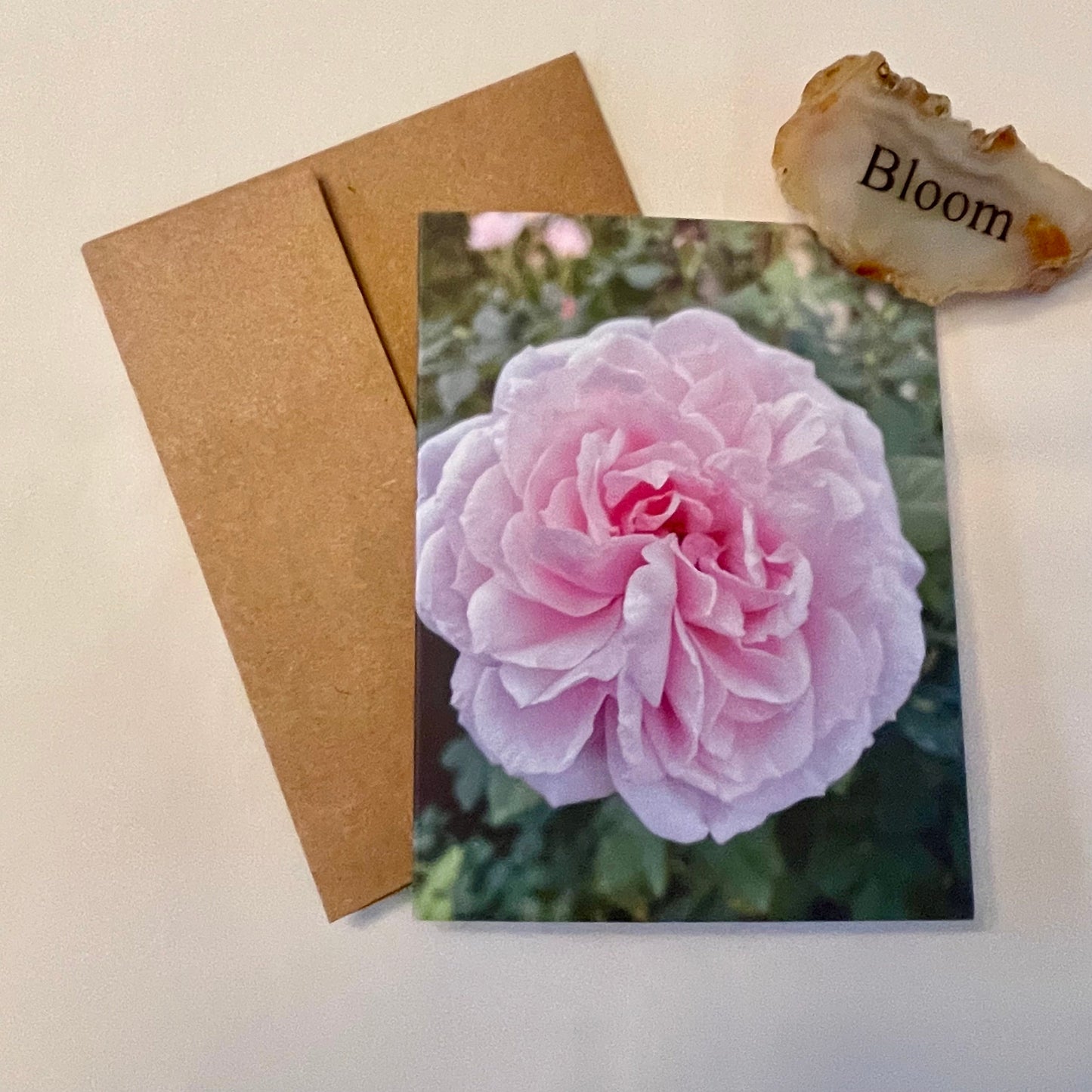 Pretty in Pink Original Photography Greeting Card with Kraft Envelope