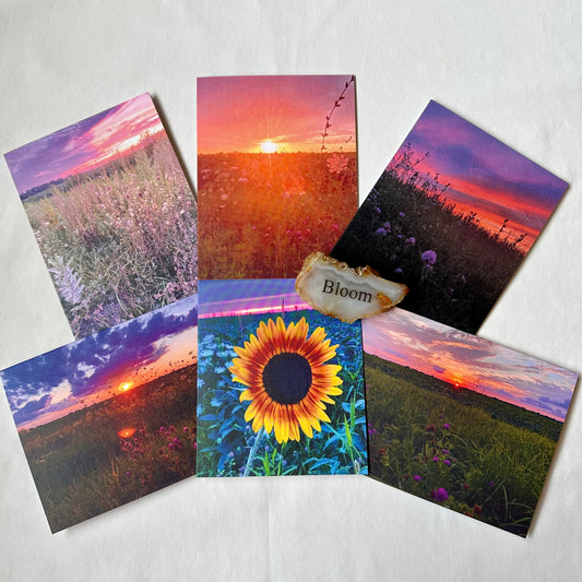 Everlasting Light Collection - Original Nature Photography Greeting Card Boxed Set of 6 with Kraft Envelopes