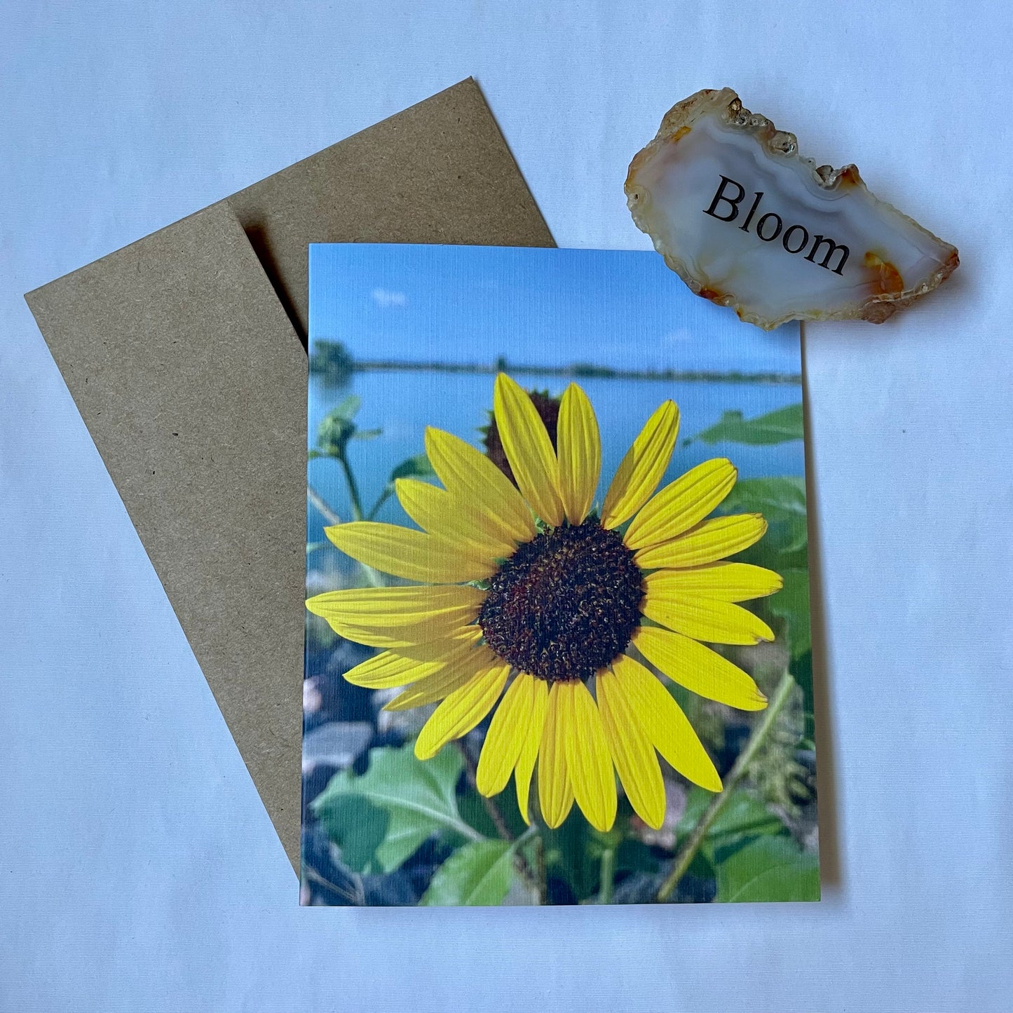Sunflowers Set of 6 Greeting Cards With Kraft Envelopes