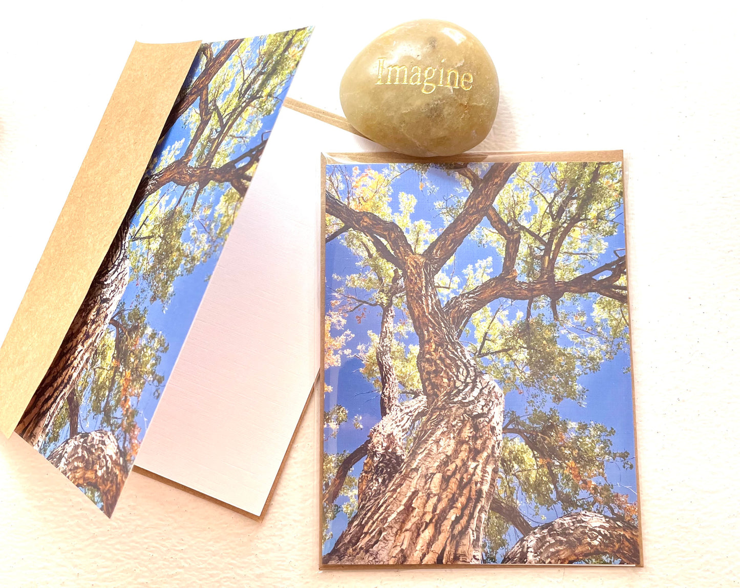 Magnificent Tree Original Nature Photography Greeting Card with Kraft Envelope