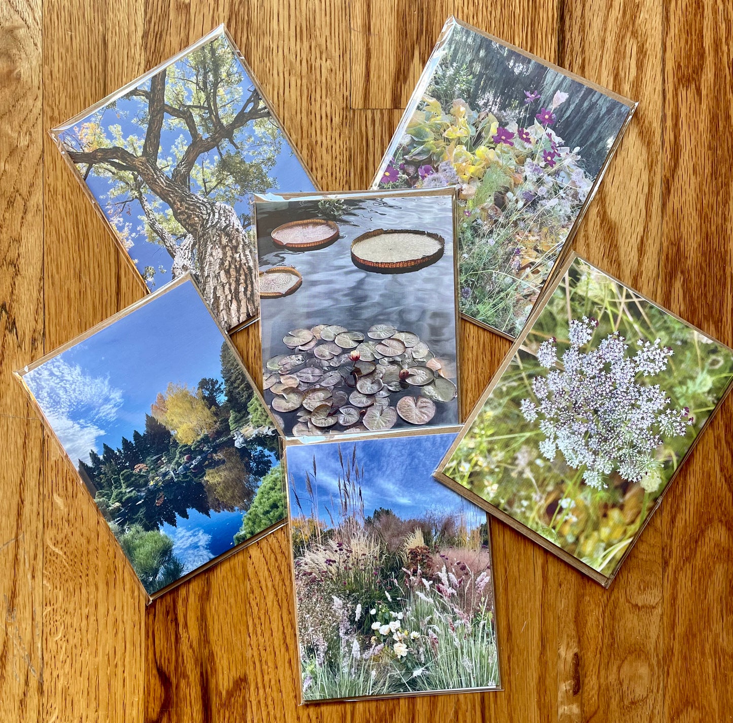 Nature Gratitude Collection Set of 6 Original Photography Greeting Cards with Kraft Envelopes