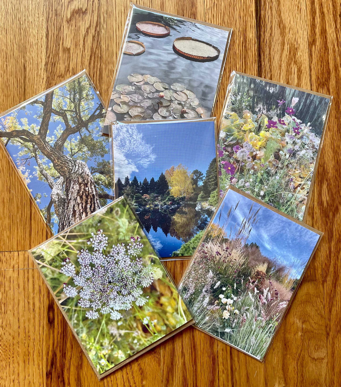 Nature Gratitude Collection Set of 6 Original Photography Greeting Cards with Kraft Envelopes