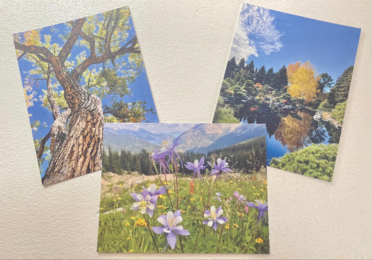 Colorado Nature Set of 3 Original Photography Prints