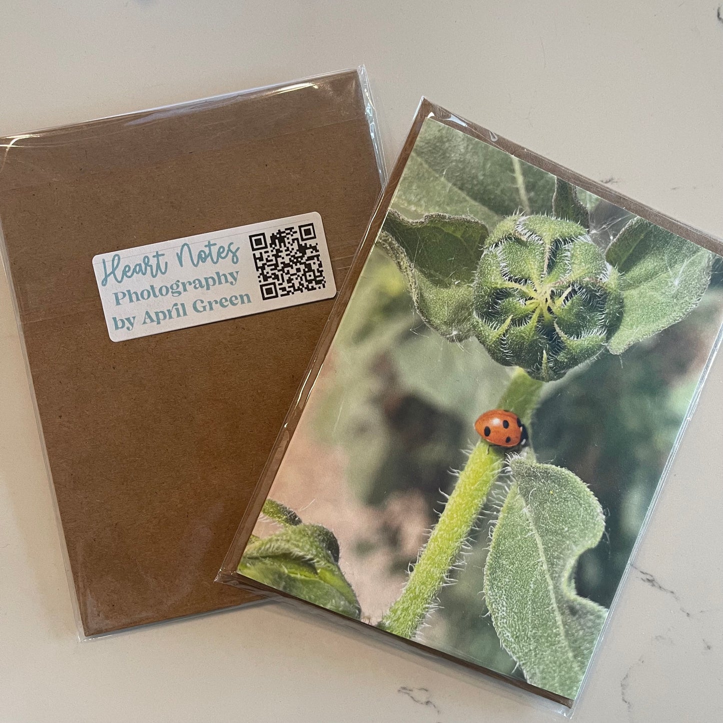Ladybug On Stem Greeting Card With Kraft Envelope