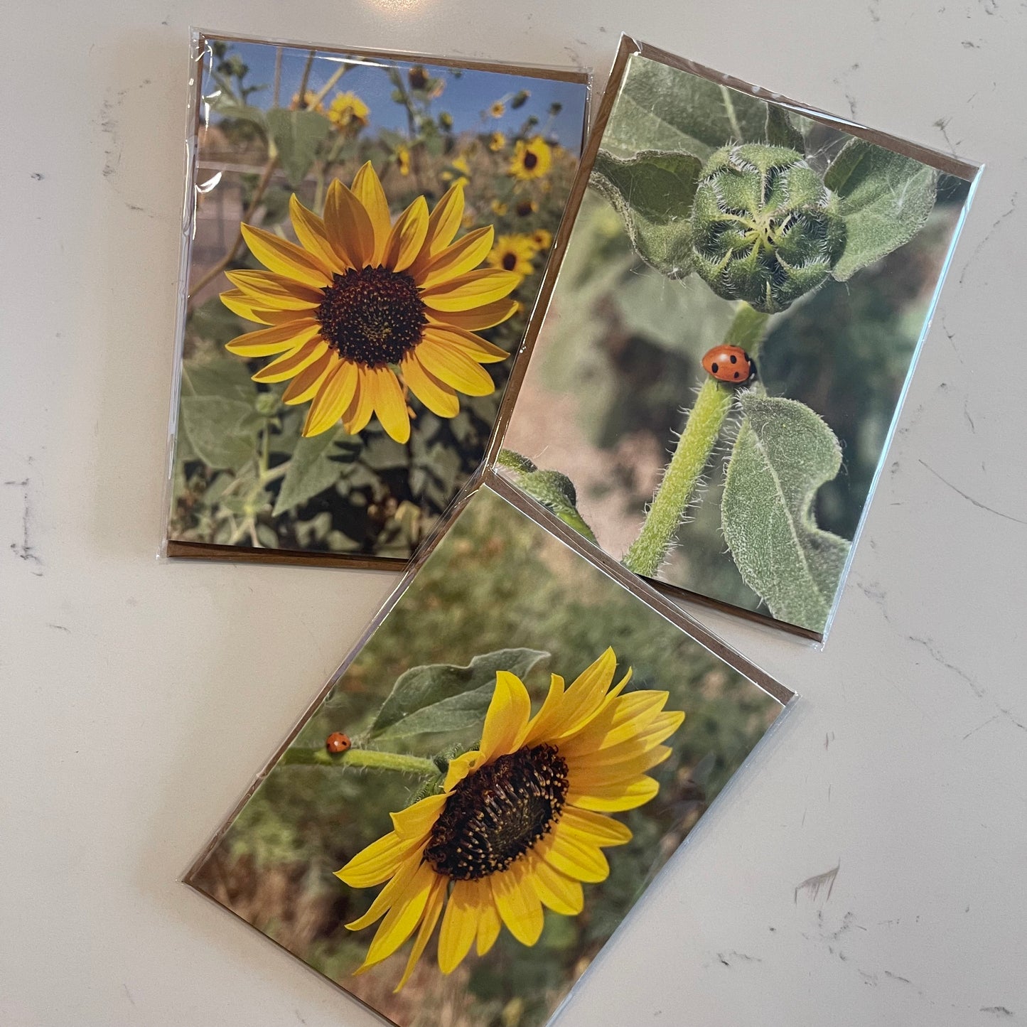 Sunflower Lucky Ladybug Set of 6 Greeting Cards With Kraft Envelopes