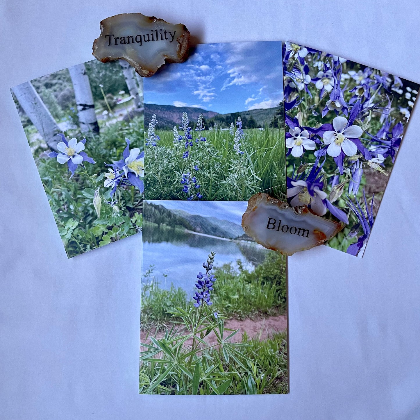 Rocky Mountain Summer Collection Original Nature Photography Greeting Card Set of 4 with Kraft Envelopes