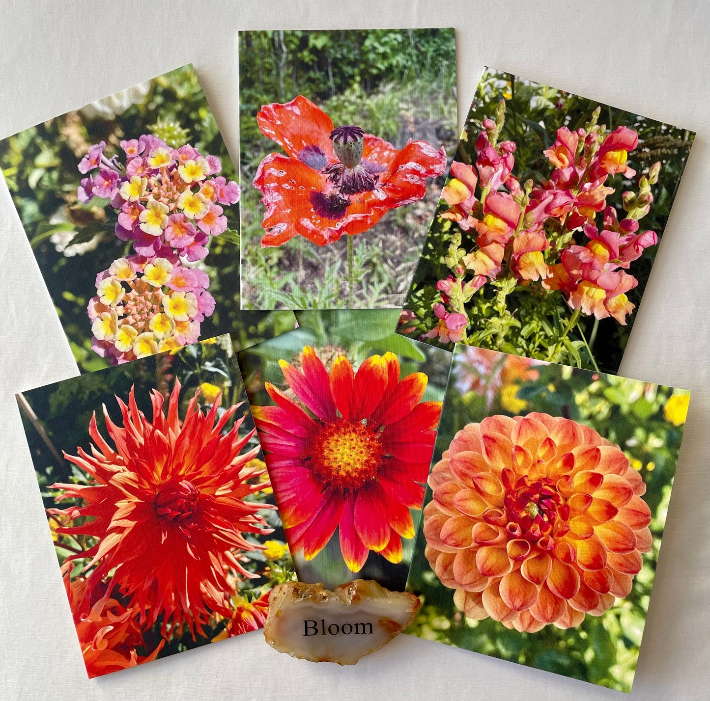 Blooming Brights Set of 6 Greeting Cards With Kraft Envelopes