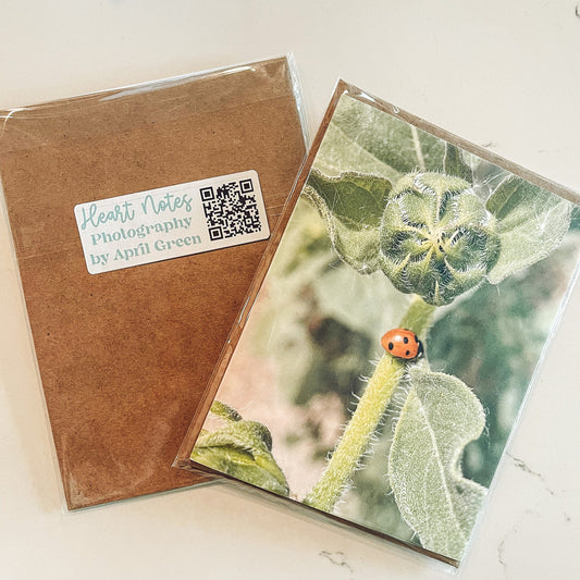 Ladybug On Sunflower Stem Greeting Card With Kraft Envelope