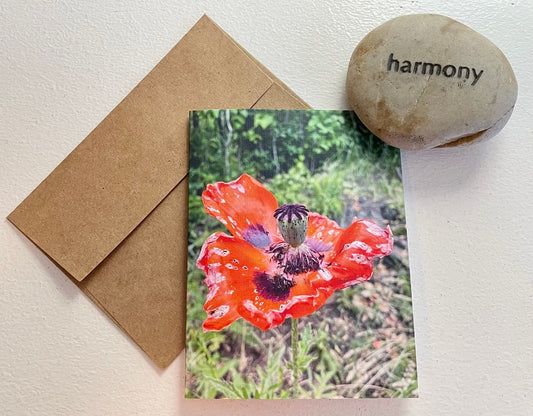Poppy Photography Greeting Card With Kraft Envelope