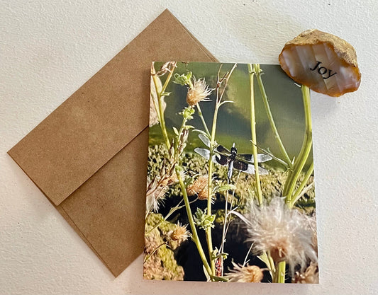 Dragonfly Photography Greeting Card With Kraft Envelope
