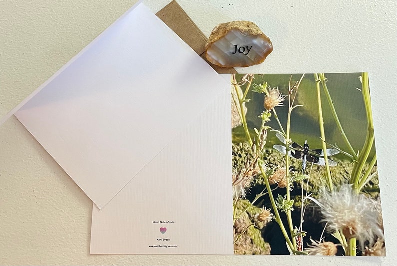 Dragonfly Photography Greeting Card With Kraft Envelope