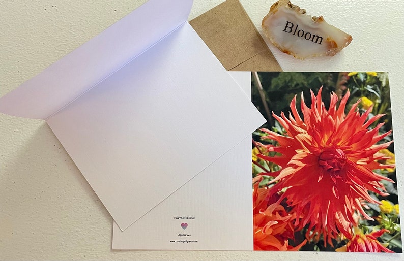 Dahlia Photography Greeting Card With Kraft Envelope