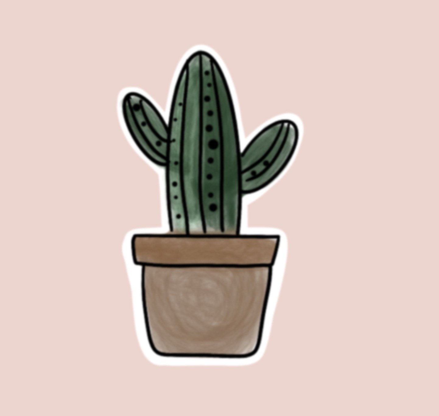 CLEAR Cactus Succulent Sticker