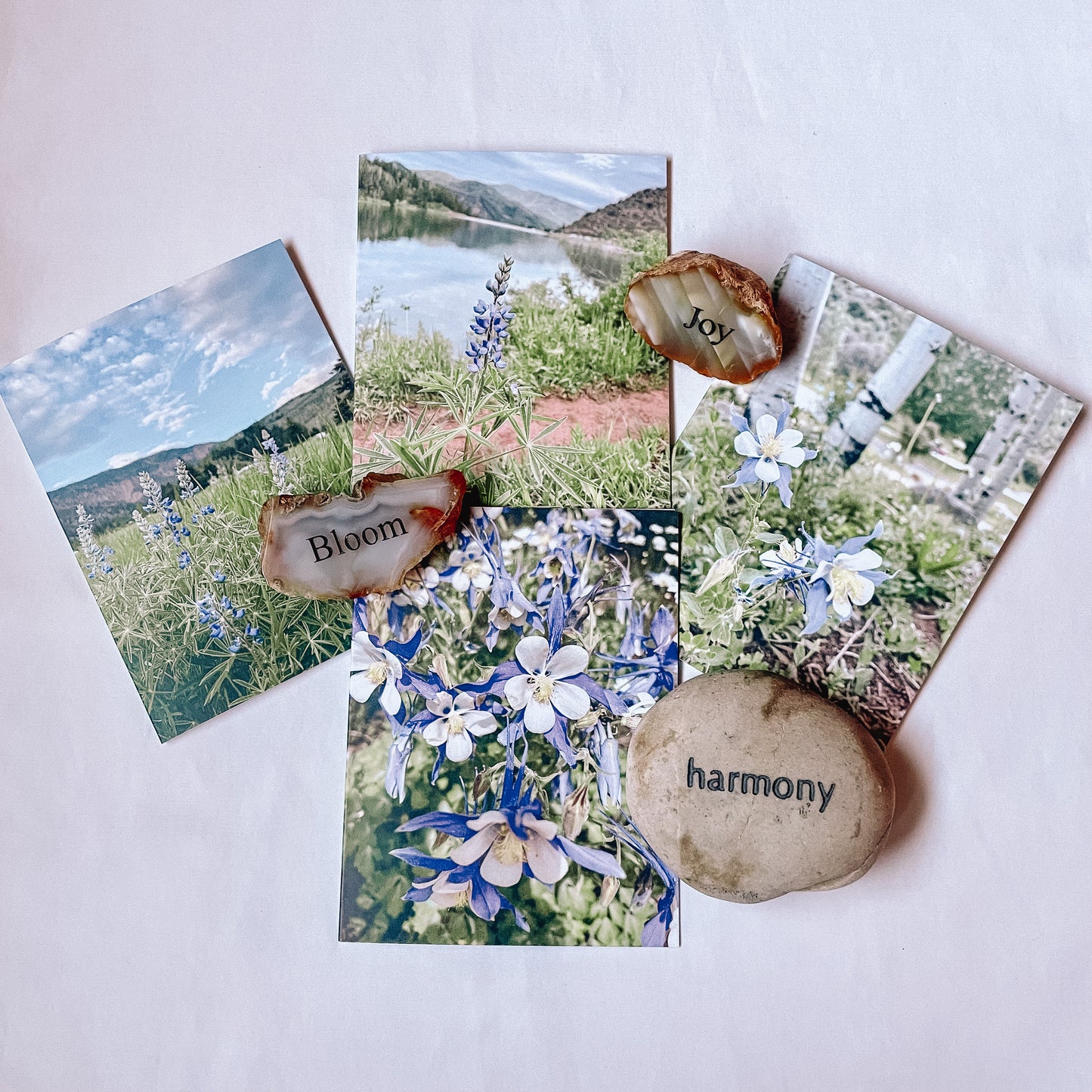 Rocky Mountain Summer Collection Original Nature Photography Greeting Card Set of 4 with Kraft Envelopes