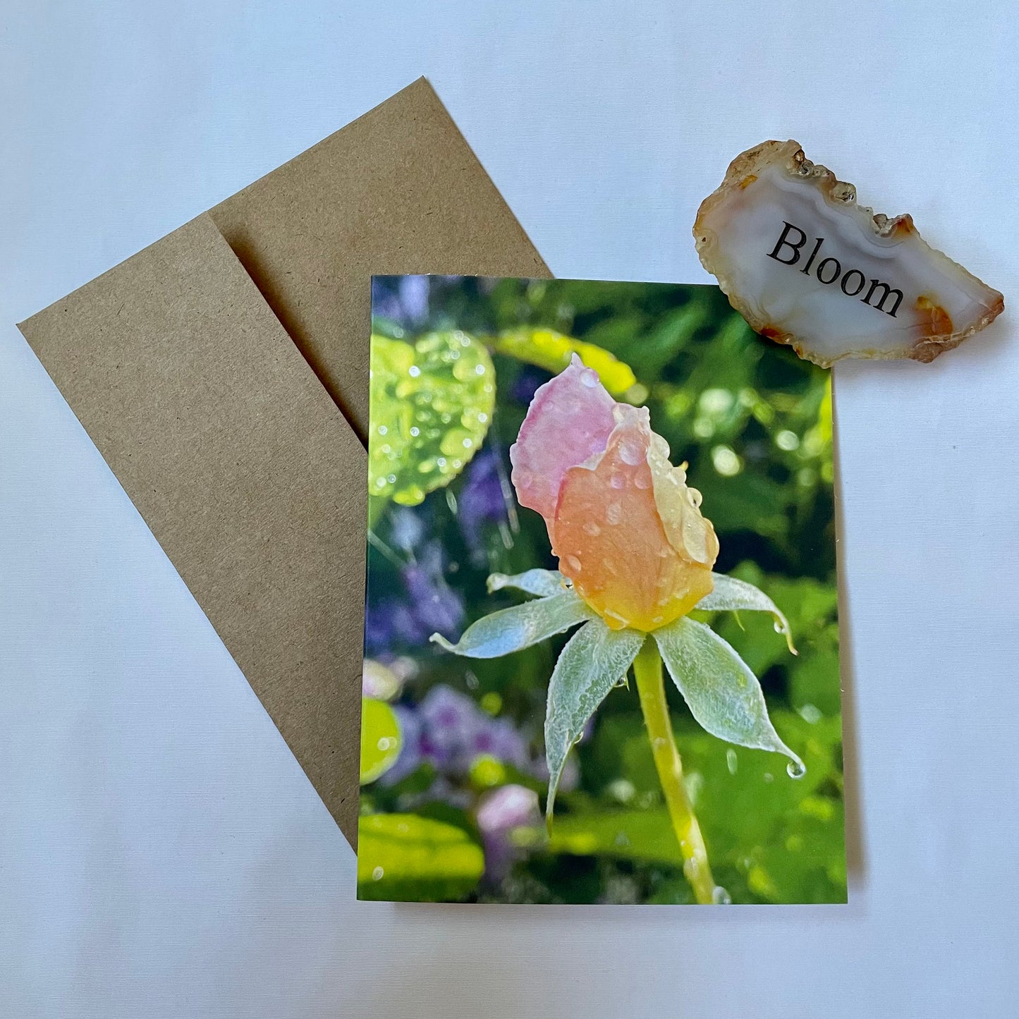 Sorbet Delight and Sunburst Roses Original Photography Greeting Card with Kraft Envelope(s)