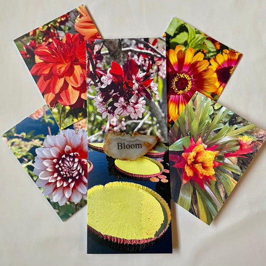 Spring Fling Collection - Assorted Flowers Original Nature Photography Greeting Card Boxed Set of 6 with Kraft Envelopes
