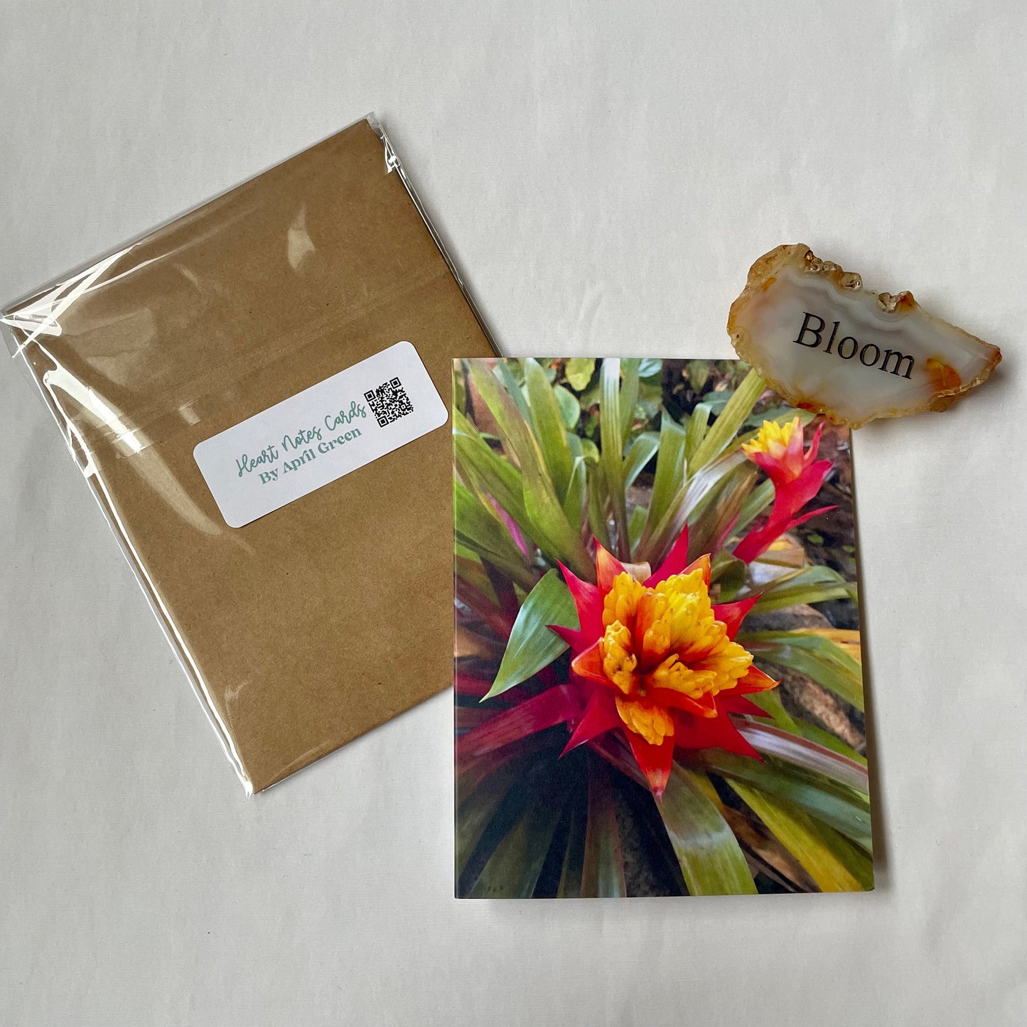Bromeliad Plant Original Photography Greeting Card with Kraft Envelope