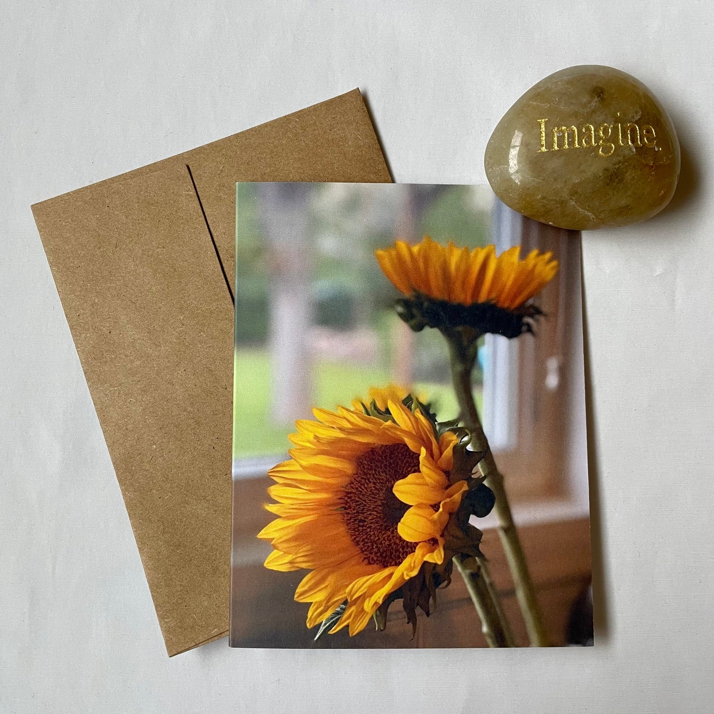 Sunflowers Still Life Original Nature Photography Greeting Card Boxed Set of 6 with Kraft Envelopes