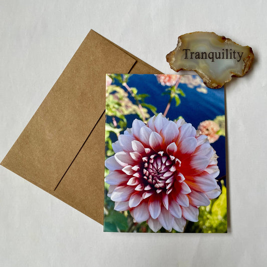 Peaceful Dahlia Original Photography Greeting Card with Kraft Envelope