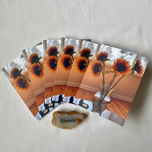 Sunflowers Still Life in Vase Original Nature Photography Greeting Card Boxed Set of 6 with Kraft Envelopes