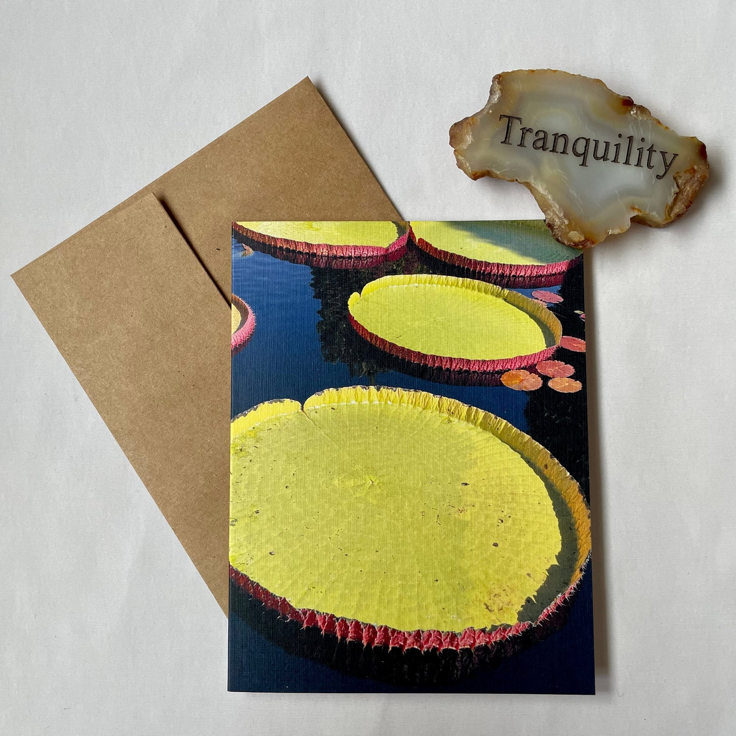 Giant Amazon Lily Pads Original Photography Greeting Card with Kraft Envelope