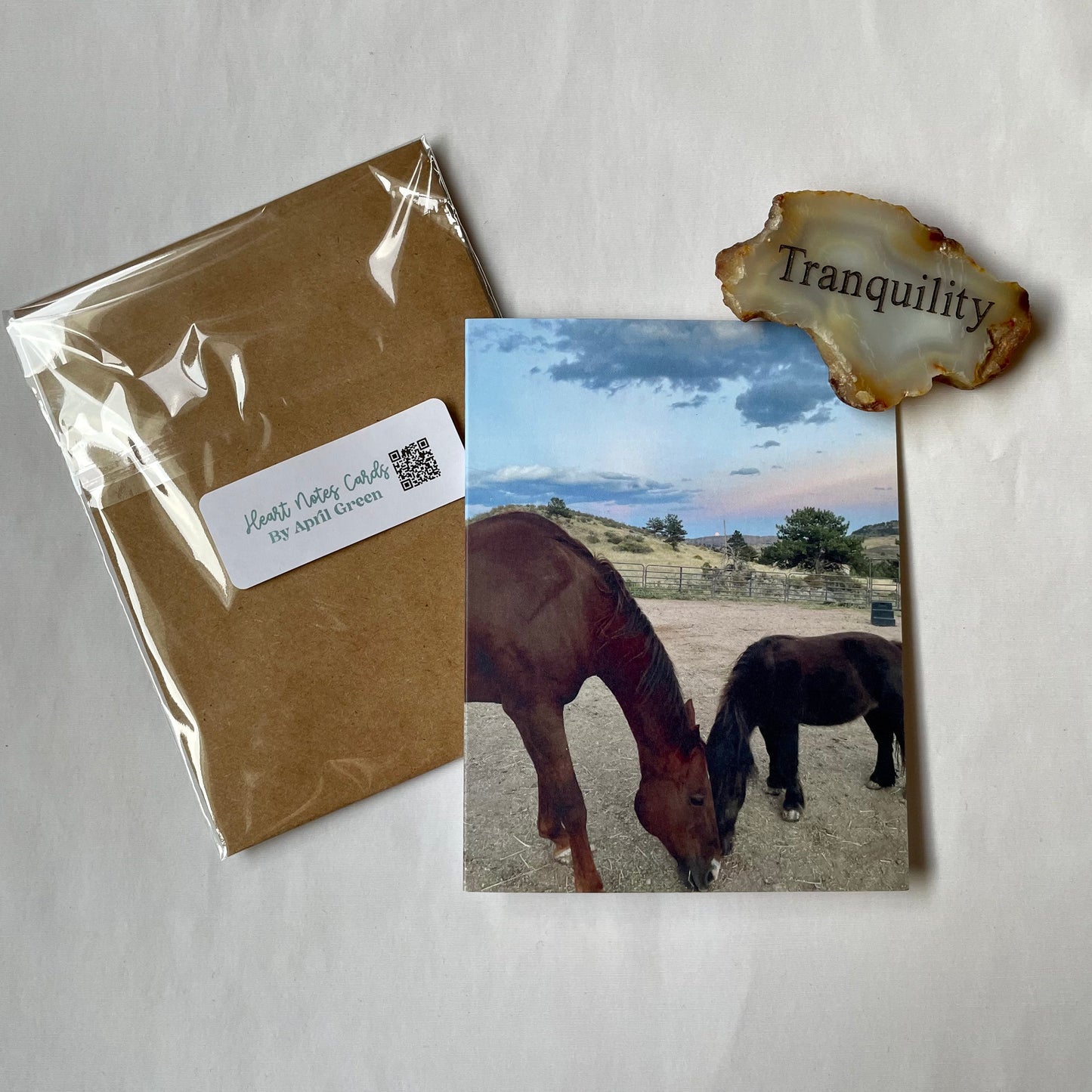 Healing Horses Original Photography Greeting Card with Kraft Envelope