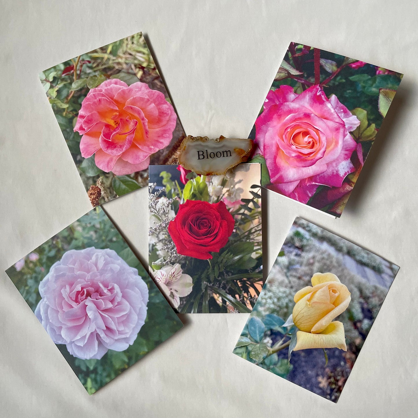 Rose Collection - Assorted Roses Original Nature Photography Greeting Card Boxed Set of 5 with Kraft Envelopes
