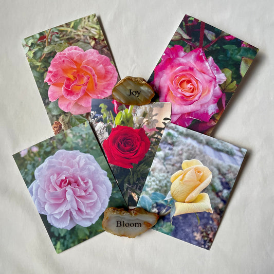 Rose Collection - Assorted Roses Original Nature Photography Greeting Card Boxed Set of 5 with Kraft Envelopes