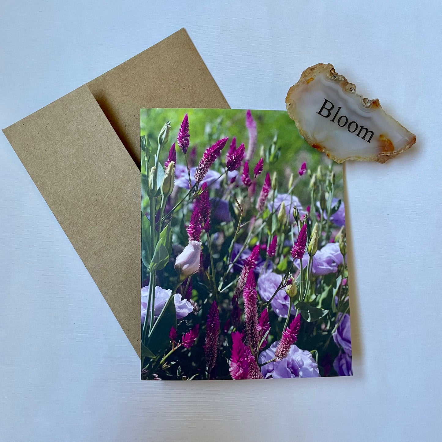 Fall Delight Original Nature Photography Greeting Card Boxed Set of 5 with Kraft Envelopes