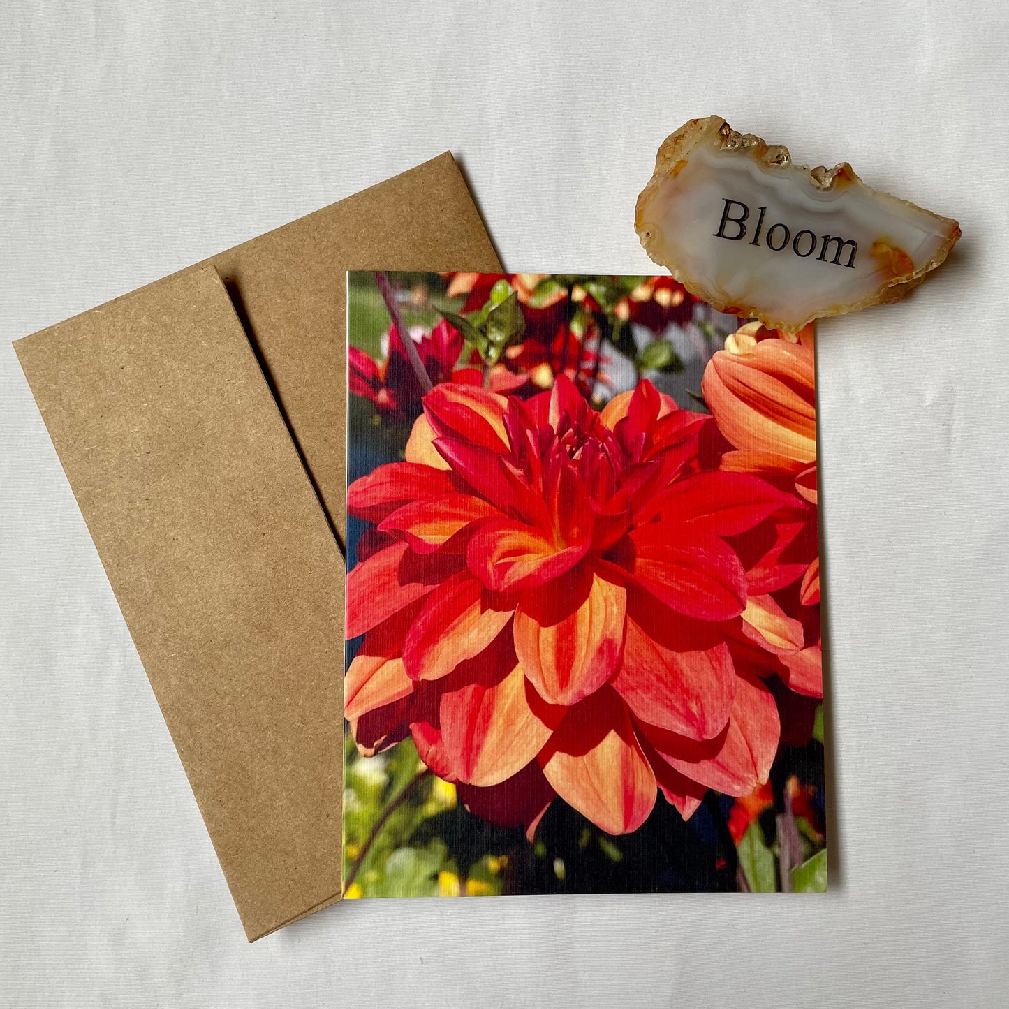 Radiant Red & Orange Dahlia Original Photography Greeting Card with Kraft Envelope