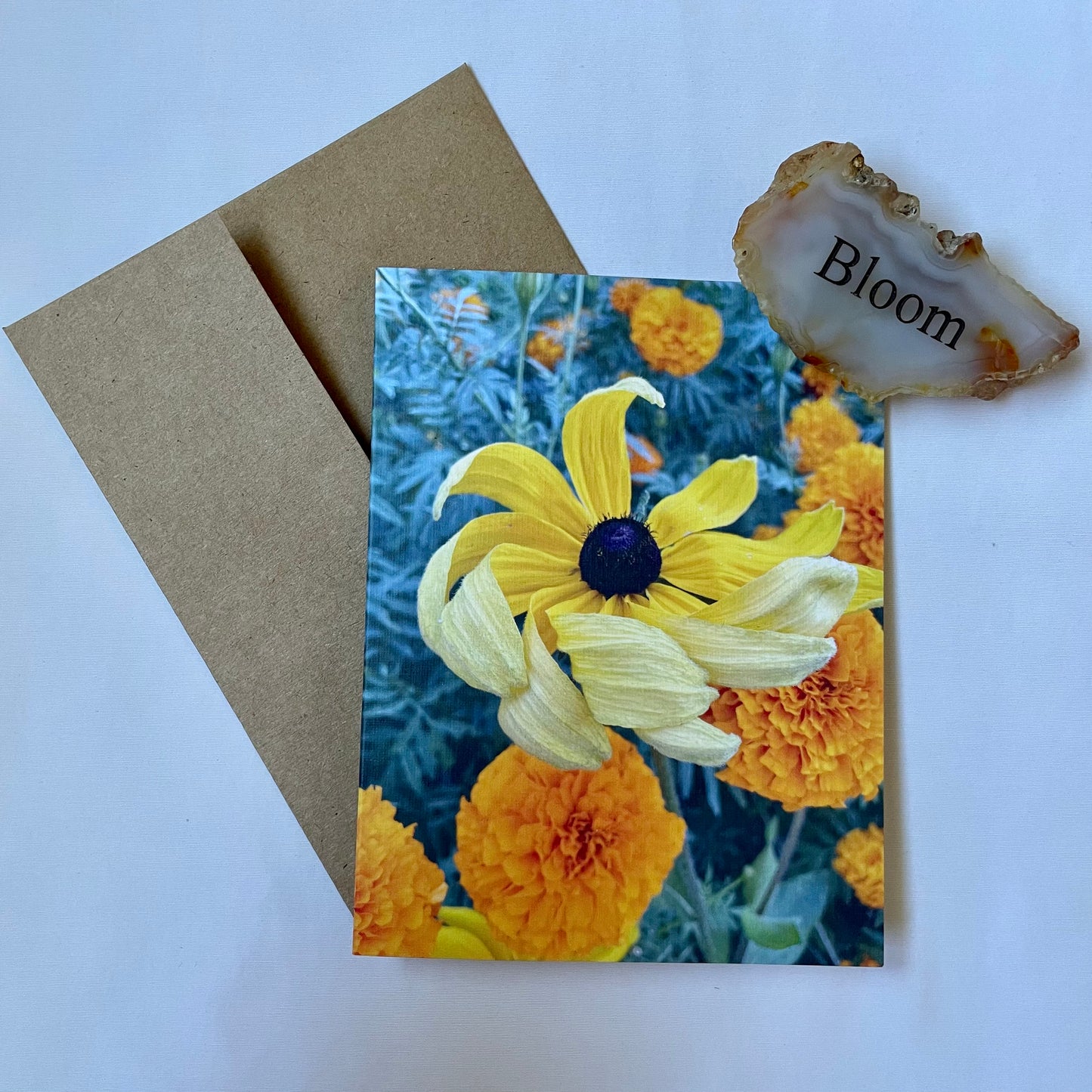 Fall Delight Original Nature Photography Greeting Card Boxed Set of 5 with Kraft Envelopes